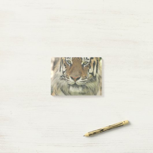 Sumatran Tiger Post-it® Notes (Op bureau)