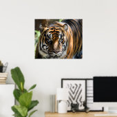 Sumatran Tiger Poster (Thuiskantoor)