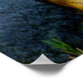 Sumatran Tiger print (Hoek)