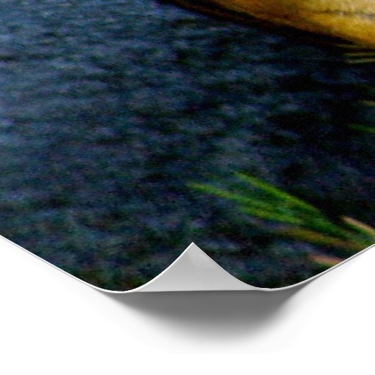 Sumatran Tiger print (Hoek)