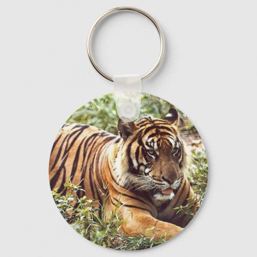 Sumatran Tiger Sleutelhanger (Voorkant)