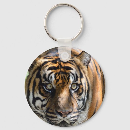 Sumatran Tiger Sleutelhanger (Voorkant)