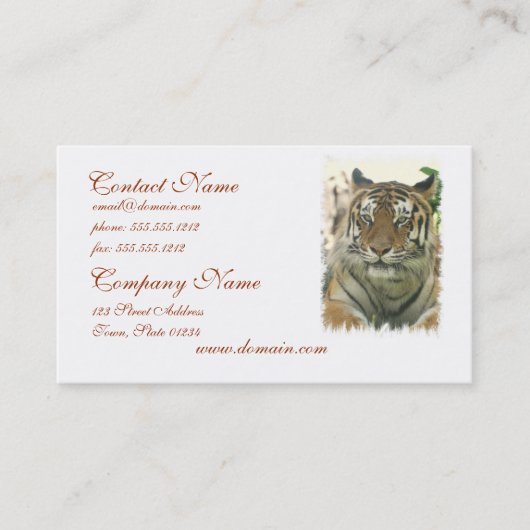 Sumatran Tiger Visitekaartjes (Voorkant)