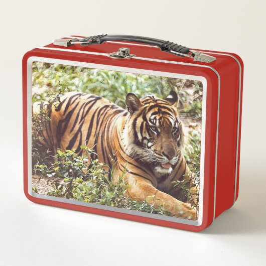 Sumatran Tiger Wild Metal Lunchbox (Voorkant)