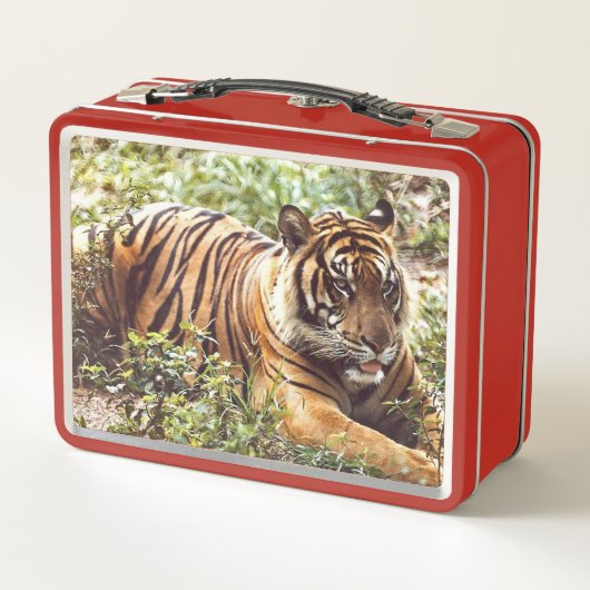 Sumatran Tiger Wild Metal Lunchbox (Achterkant)