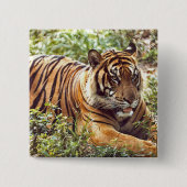 Sumatran Tiger Wilde Button (Voorkant)