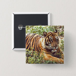 Sumatran Tiger Wilde Button