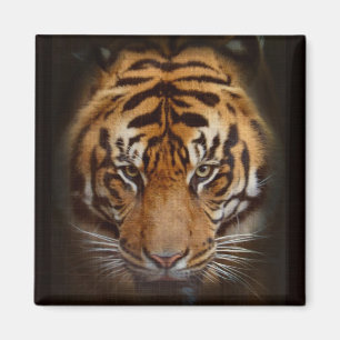 Sumatran Tiger Wildlife Big Cat Lover Foto Magneet