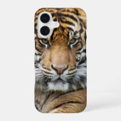 Sumatran Tiger Wildlife Foto iPhone 16 Hoesje (Achterkant)