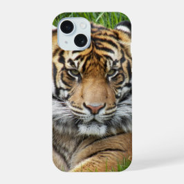 Sumatran Tiger Wildlife Foto iPhone 16 Hoesje