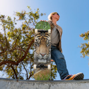 Sumatran Tiger Wildlife Foto Persoonlijk Skateboard
