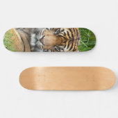 Sumatran Tiger Wildlife Foto Persoonlijk Skateboard (Horizontaal)