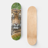 Sumatran Tiger Wildlife Foto Persoonlijk Skateboard (Voorkant)