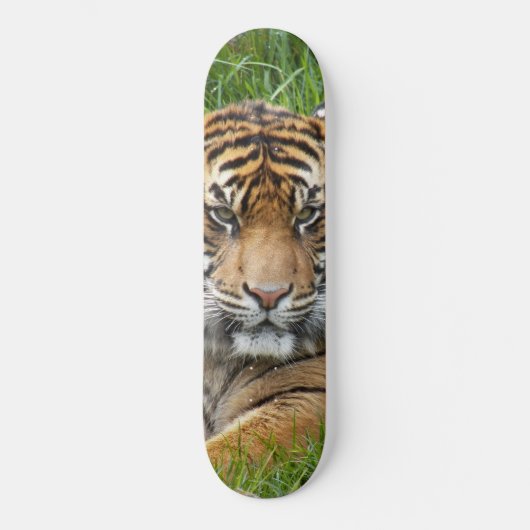 Sumatran Tiger Wildlife Foto Persoonlijk Skateboard (Voorkant)