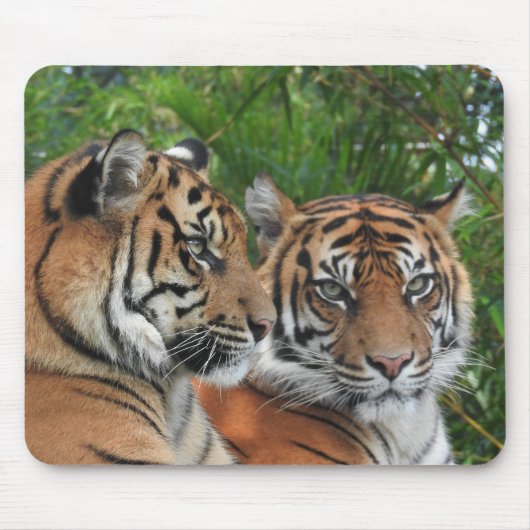 Sumatran Tigers Muismat (Voorkant)