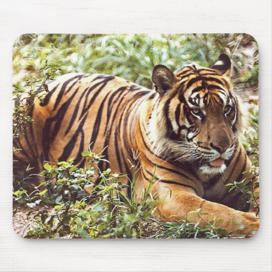 sumatran-tijgermuis muismat (Voorkant)