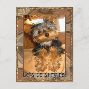 Sumfins Yorkie Briefkaart