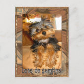 Sumfins Yorkie Briefkaart (Voorkant)