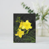~ Summer 10 ~ Briefkaart (Staand voorkant)