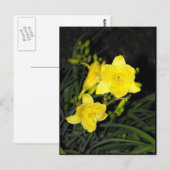 ~ Summer 10 ~ Briefkaart (Voorkant / Achterkant)