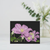 ~ Summer 13 ~ Briefkaart (Staand voorkant)