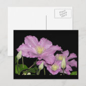 ~ Summer 13 ~ Briefkaart (Voorkant / Achterkant)