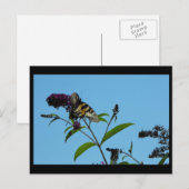 ~ Summer 19 ~ Briefkaart (Voorkant / Achterkant)