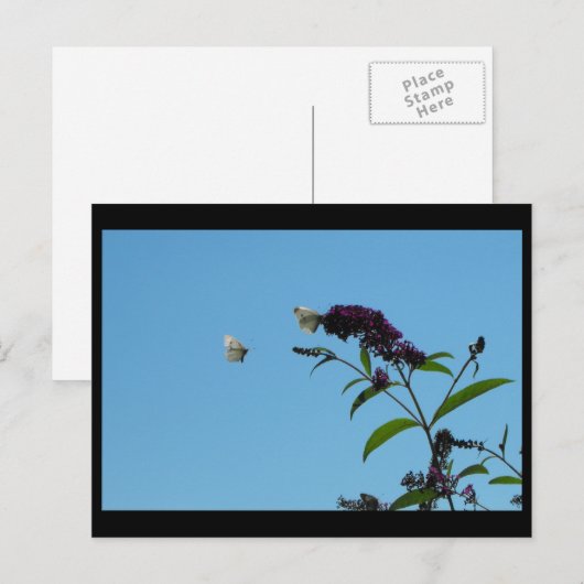 ~ Summer 20 ~ Briefkaart (Voorkant / Achterkant)