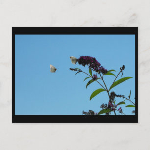 ~ Summer 20 ~ Briefkaart