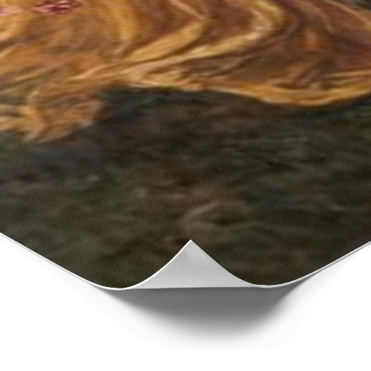 Summer aangeraakt door Winter Poster (Hoek)