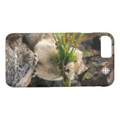 Summer - American Pica Case-Mate iPhone Case (Achterkant (Horizontaal))