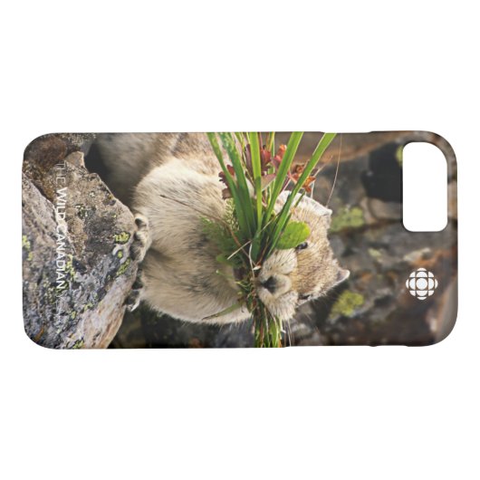 Summer - American Pica Case-Mate iPhone Case (Achterkant (Horizontaal))