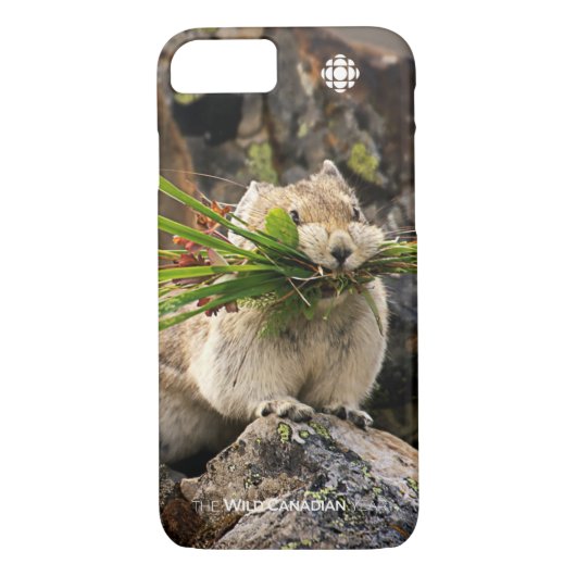 Summer - American Pica Case-Mate iPhone Case (Achterkant)