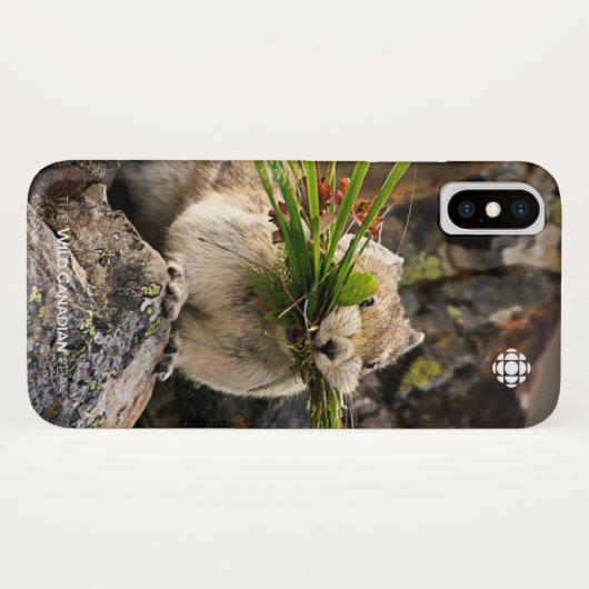 Summer - American Pica Case-Mate iPhone Case (Achterkant (horizontaal))