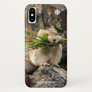 Summer - American Pica Case-Mate iPhone Case