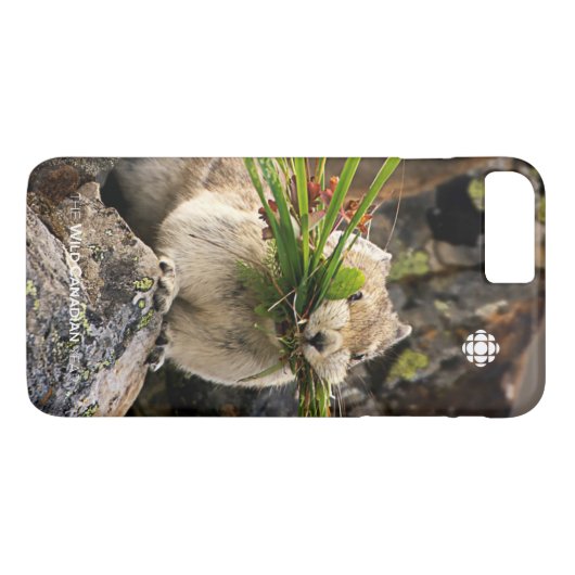 Summer - American Pica Case-Mate iPhone Case (Achterkant (Horizontaal))