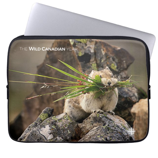 Summer - American Pica Laptop Sleeve (Voorkant)