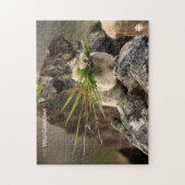 Summer - American Pica Legpuzzel (Verticaal)