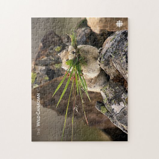 Summer - American Pica Legpuzzel (Verticaal)