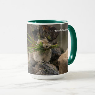 Summer - American Pica Mok