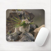 Summer - American Pica Muismat (Met muis)