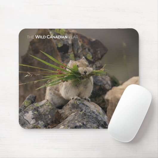 Summer - American Pica Muismat (Met muis)