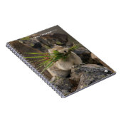 Summer - American Pica Notitieboek (Rechterzijde)