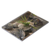 Summer - American Pica Notitieboek (Linkerzijde)