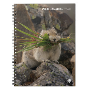 Summer - American Pica Notitieboek