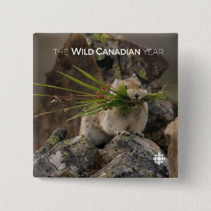 Summer - American Pica Vierkante Button 5,1 Cm