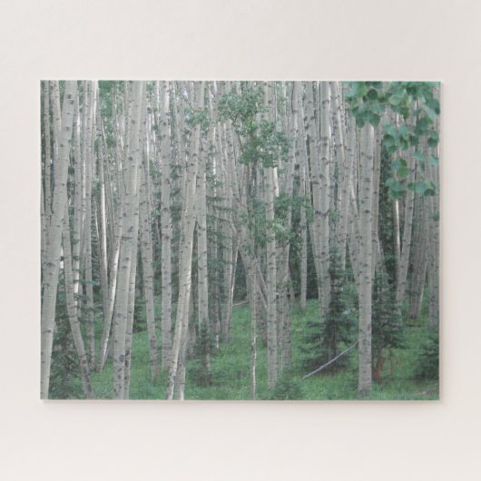 Summer Aspen Trees - 16 x 20 - 520 pcs Jigzaag Puz Legpuzzel (Horizontaal)