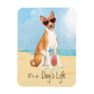 Summer Basenji Magnet Magneet