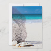 Summer Beach Seashell Blue Tropical Birthday Kaart (Achterkant)