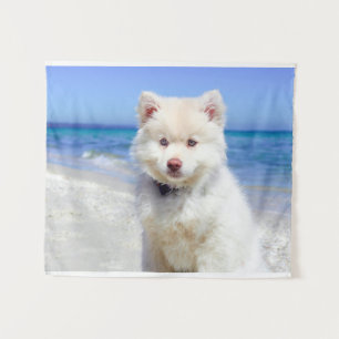 Summer Beach White Spitz Samoyed Pet Dog Canine Wandkleed